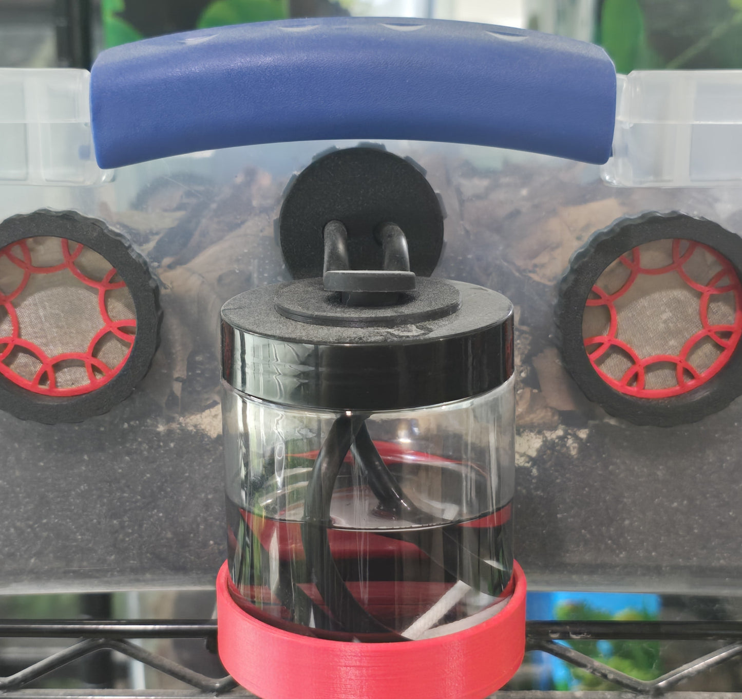 Invertebrate Starter Kit