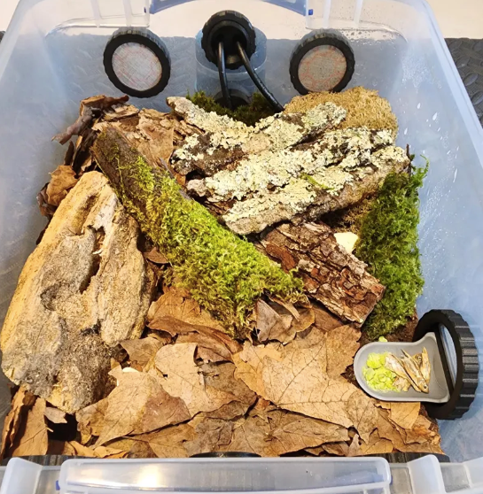 Invertebrate Starter Kit