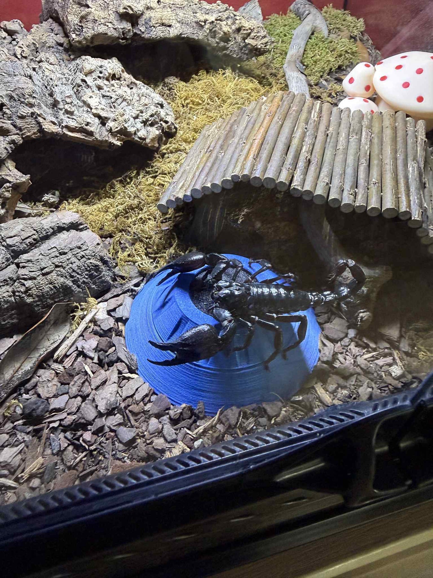 UF-H2O