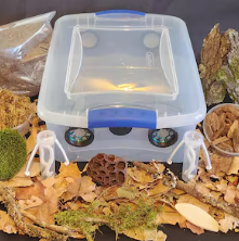 Invertebrate Starter Kit