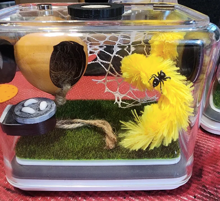 J-Pod - Jumping Spider Hydration Pod