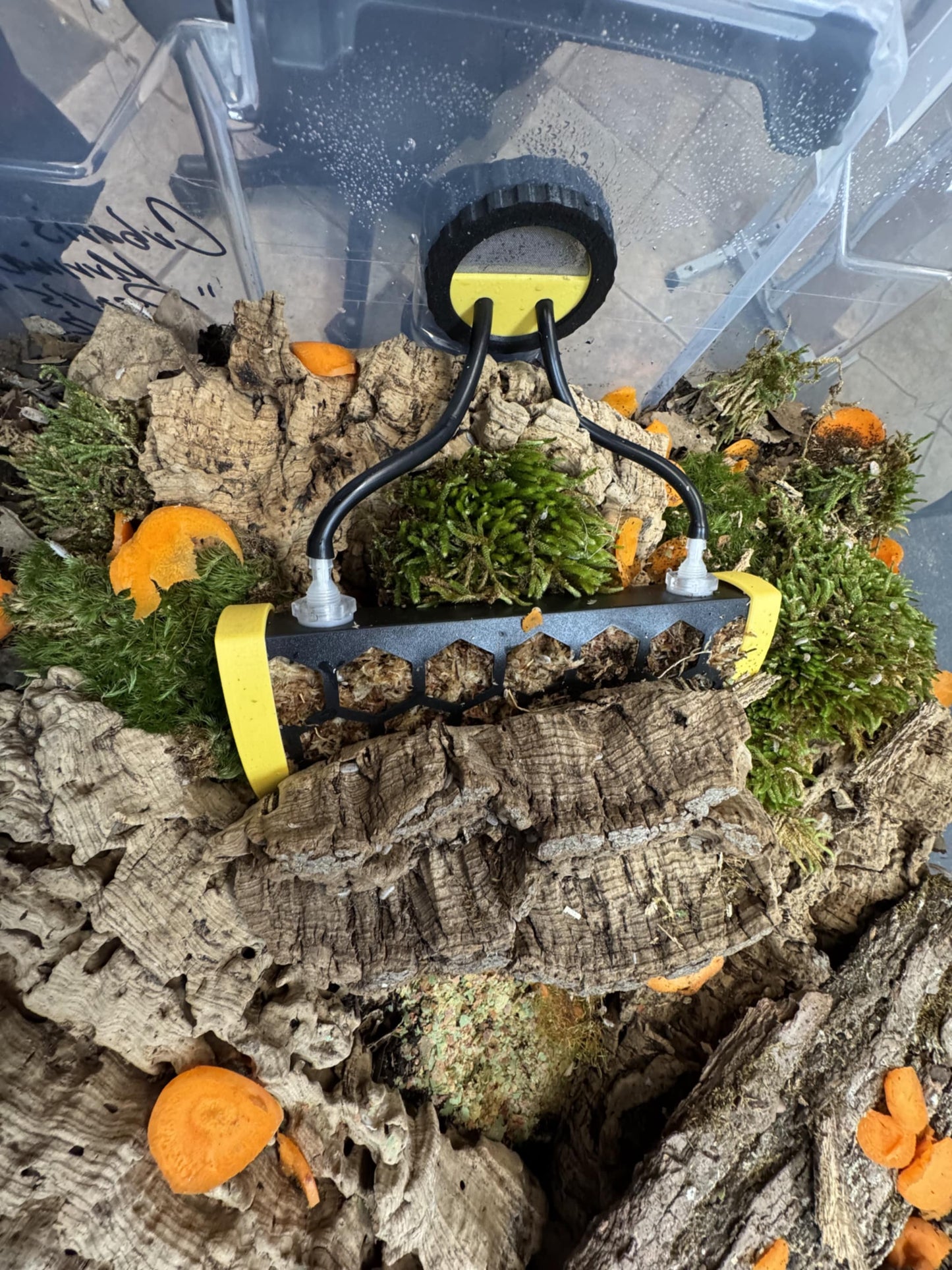 Hydra-Logs
