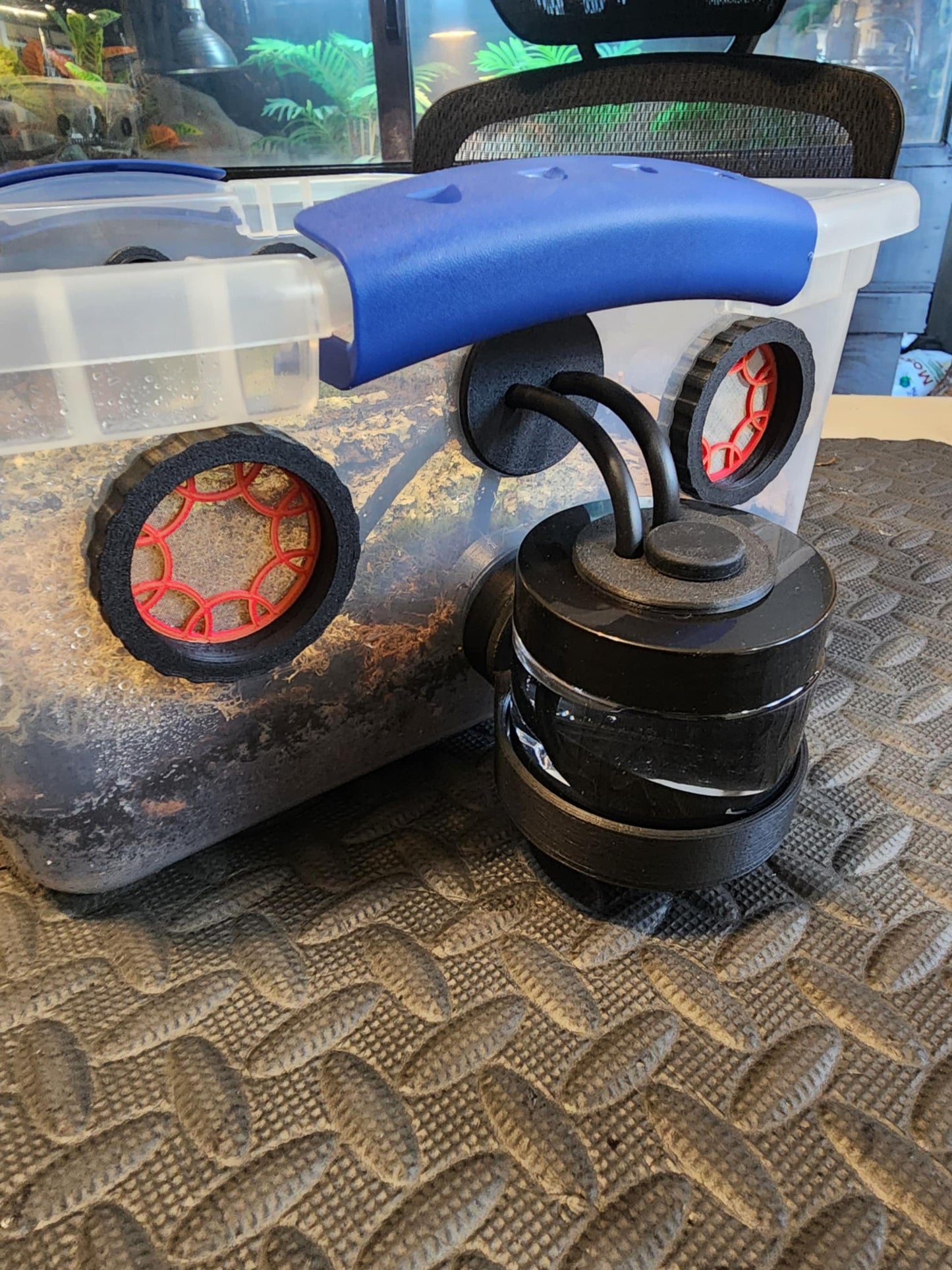 Invertebrate Starter Kit