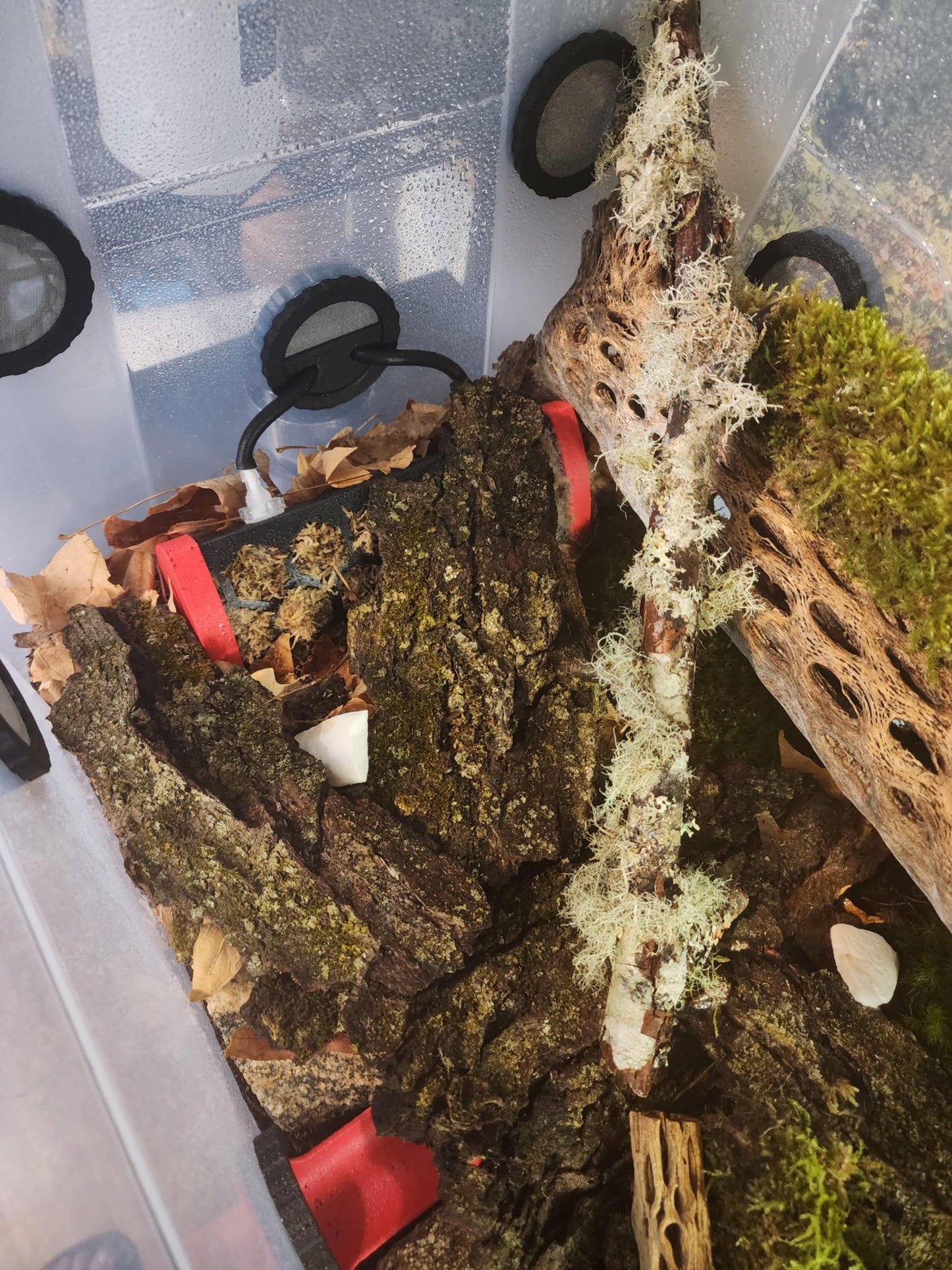 Hydra-Logs